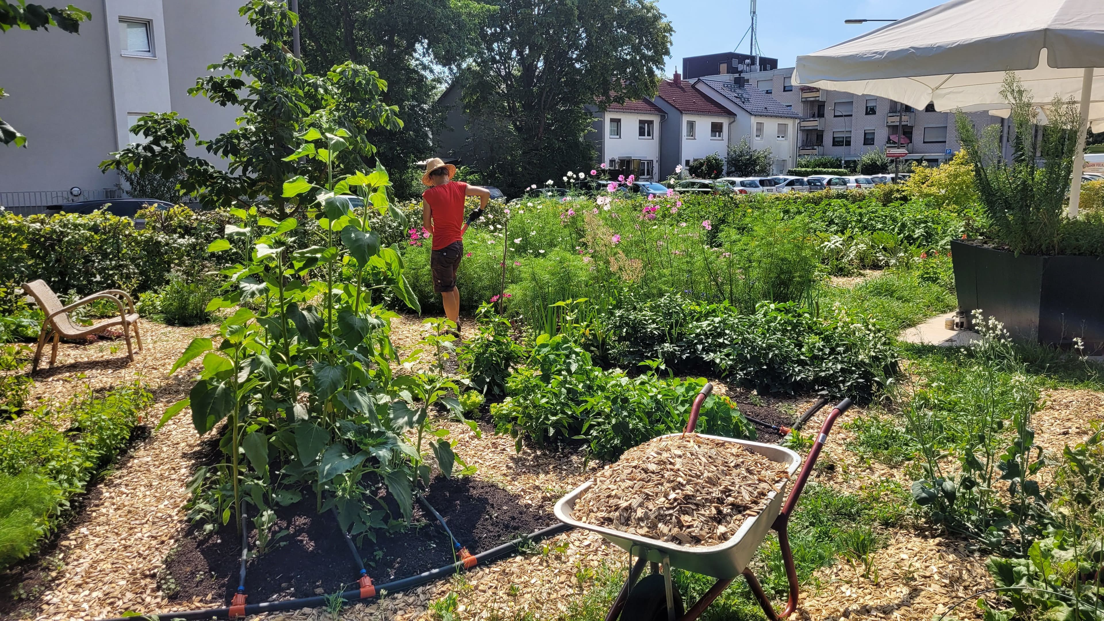 Eine Person macht draußen Gartenarbeit.