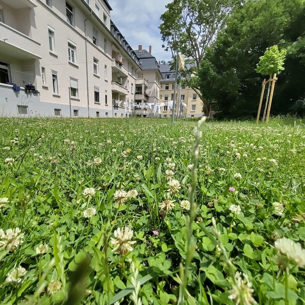 Vor einem Wohnblock liegt eine saftige grüne Wiese 