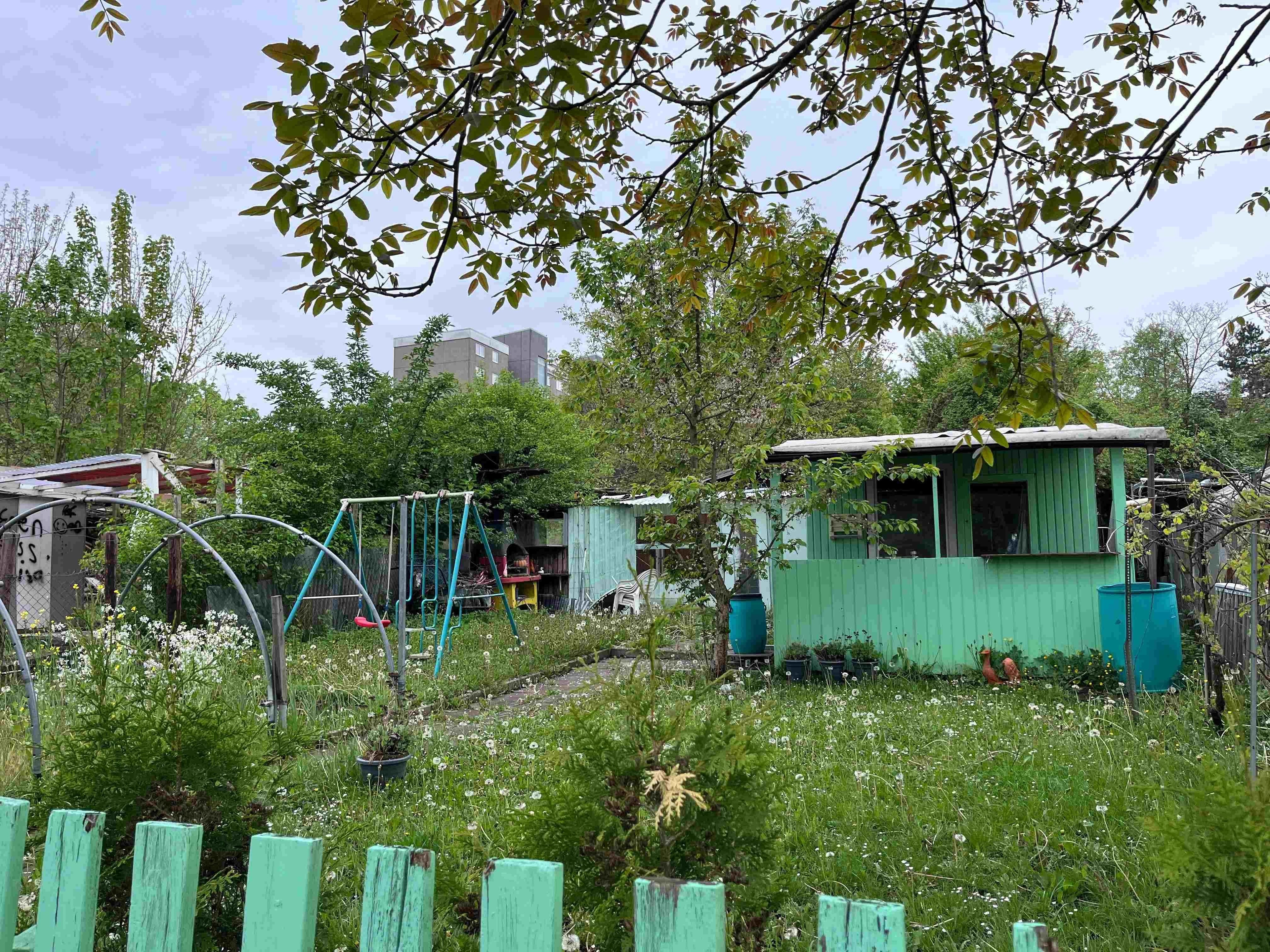In einem Schrebergarten steht eine kleine Holzhütte.
