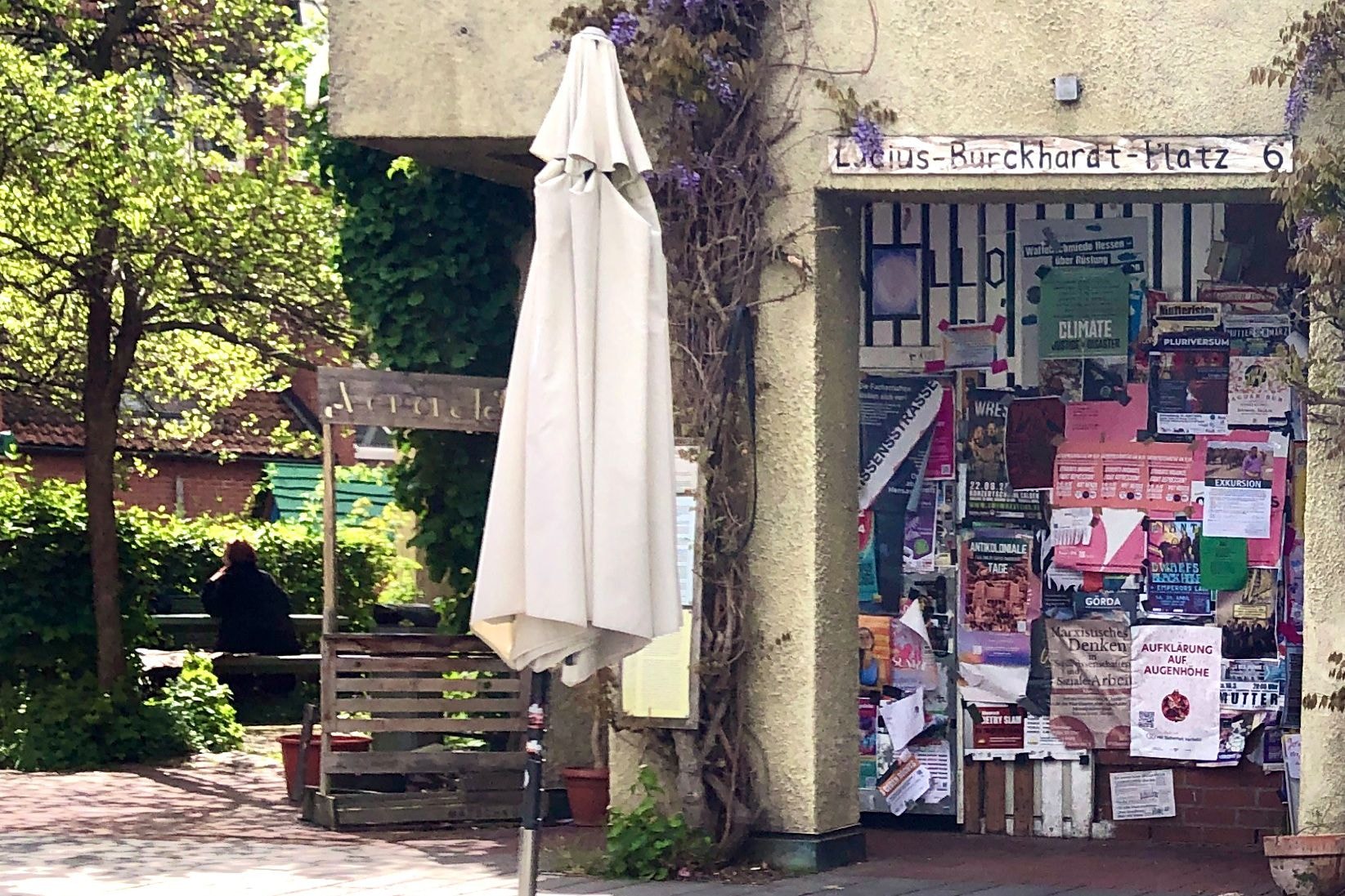 eine begrünte Hausfassade 